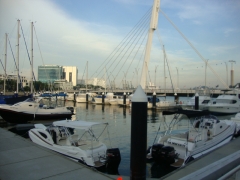 DSC02048.jpg
