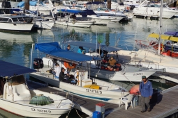 DSC02984.JPG