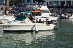 DSC03004.JPG