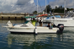 DSC03005A.jpg