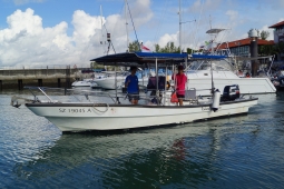 DSC03012A.jpg