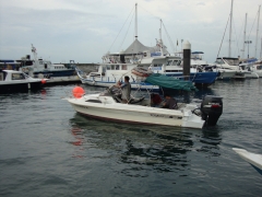 DSC00974.jpg