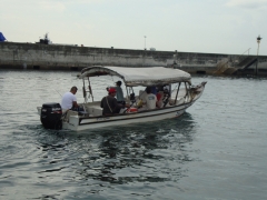 DSC00975.jpg