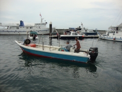 DSC00976.jpg