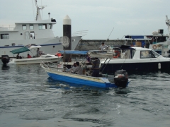 DSC00977.jpg