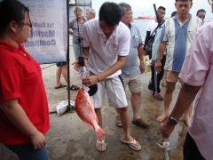 DSC00986.jpg