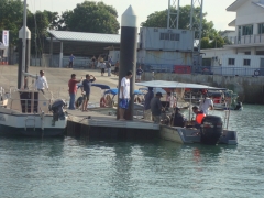 DSC01790.jpg
