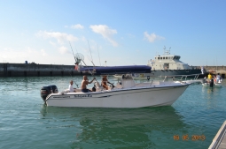 DSC_0141.jpg
