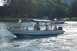 DSC01735.JPG