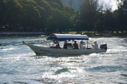 DSC01736.JPG