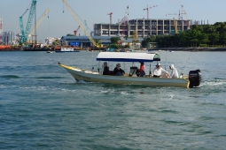 DSC01737.JPG