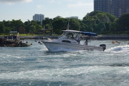 DSC01740.JPG