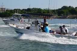 DSC01741.JPG