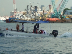 DSC02942.JPG