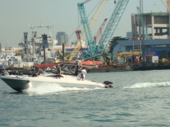 DSC02948.JPG