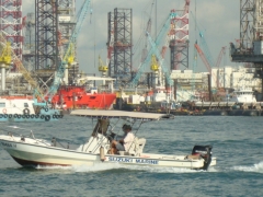 DSC02952.JPG