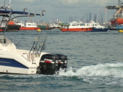 DSC02954.JPG