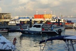 DSC02808.JPG